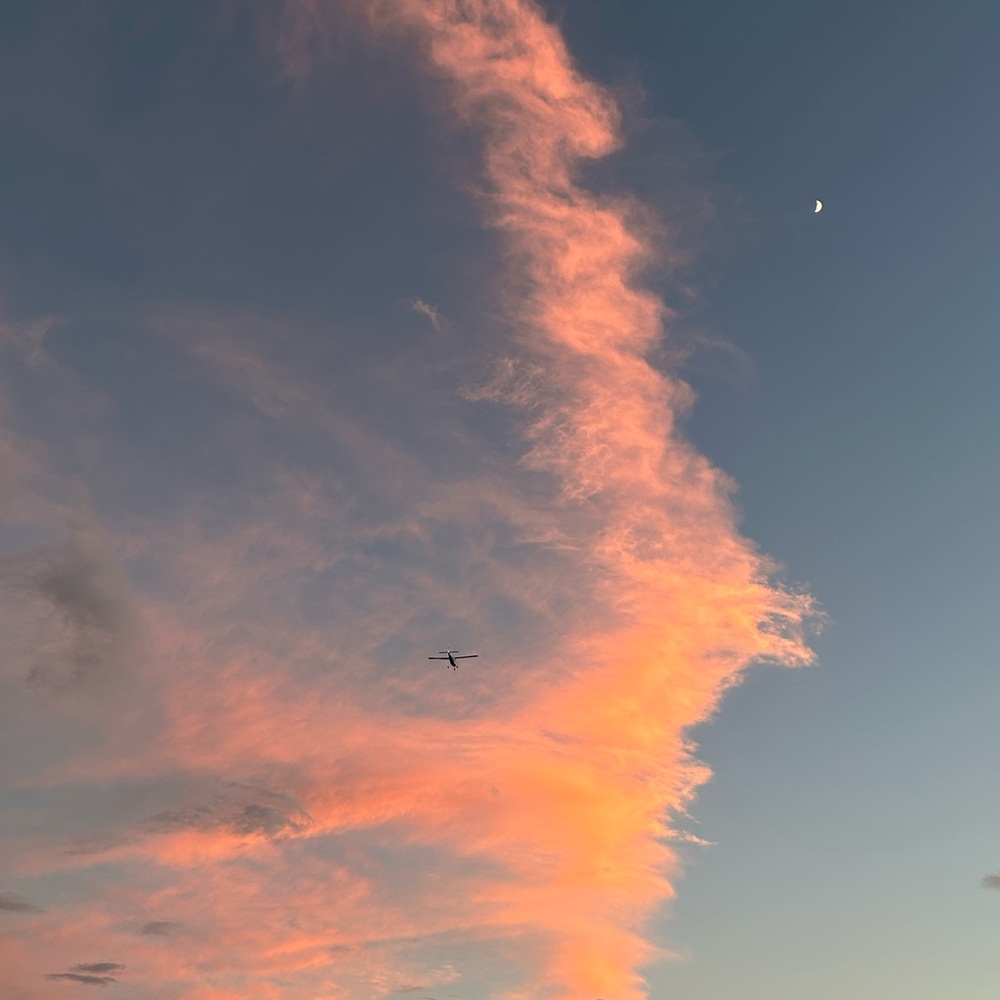 Excellent thrift finds only!!